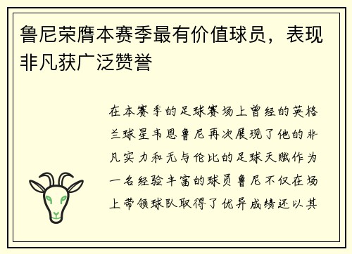 鲁尼荣膺本赛季最有价值球员，表现非凡获广泛赞誉